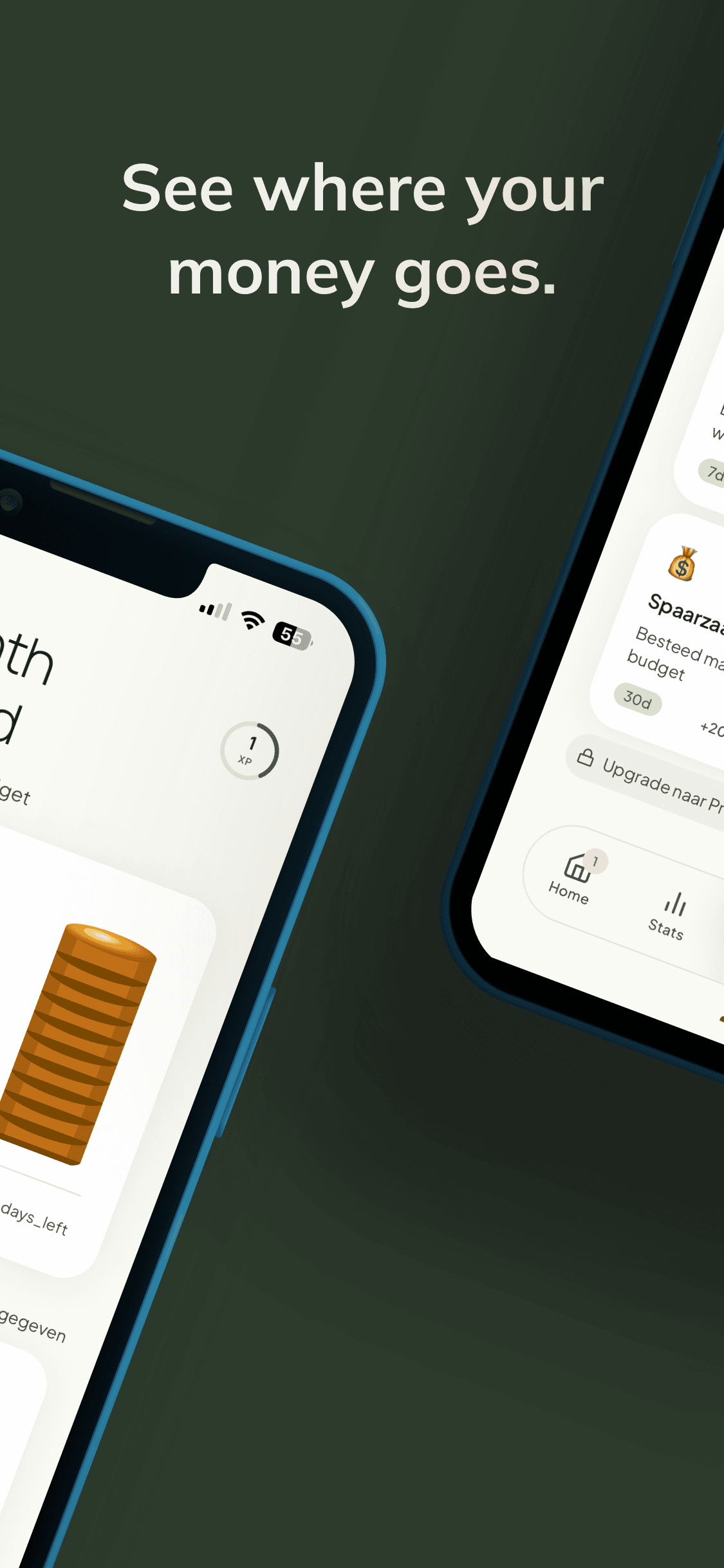 Money insights